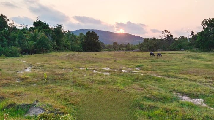 Prek Svay | 10,000 m² Riverfront Parcel, Hard Title