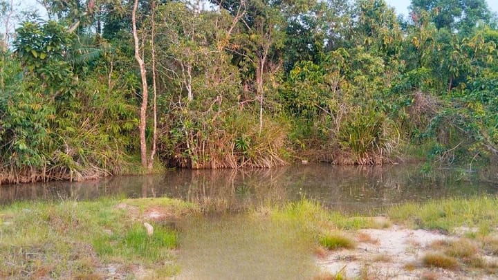 Prek Svay | 10,000 m² Riverfront Parcel, Hard Title