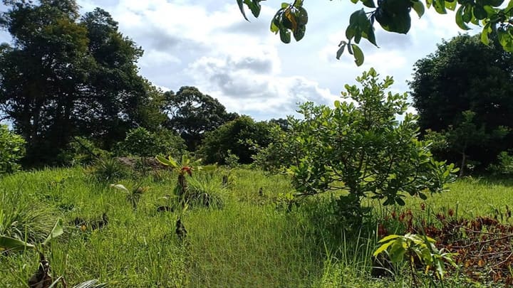 Sok San | 4,000 m² Second-Line Parcel, Hard Title