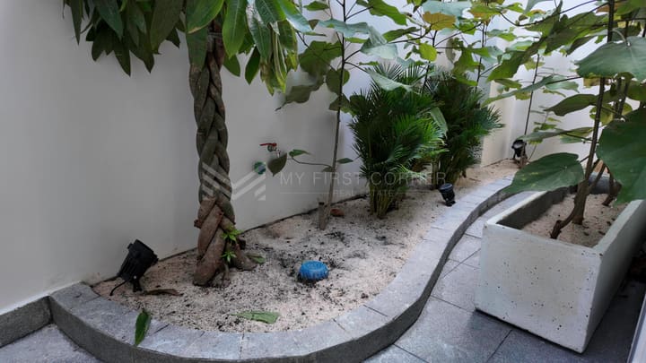 Commercial Building house For rent at BKK1