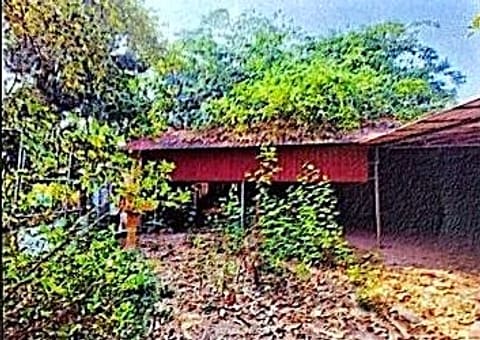 Land & Warehouse in Svay Dangkum, Siem Reap (photo 2)