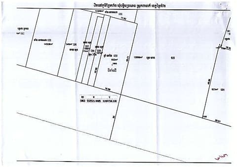 Land & Commercial Building in Banalichabarasata, Prey Veng (photo 3)