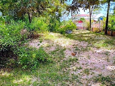 Land & House in Charava, Siem Reap (photo 1)