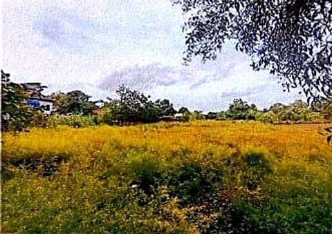 Vacant Land in Slokram, Siem Reap (photo 1)