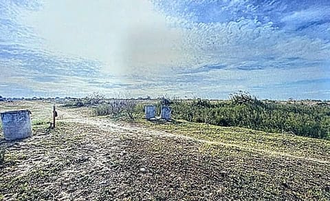 Vacant Land in Peam Oknha Ong, Kandal (photo 1)