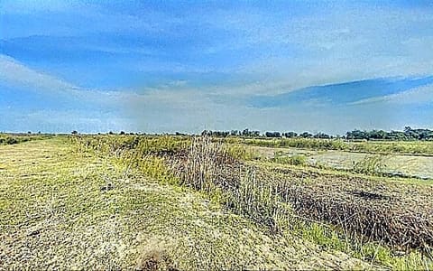 Vacant Land in Peam Oknha Ong, Kandal (photo 1)