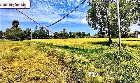 Agricultural Land in Angakaola, Kep (photo 1)