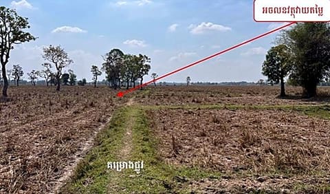 Agricultural Land in Mukhada, Svay Rieng (photo 1)